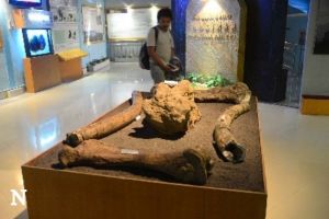 Menyambangi Masa Lalu di Pameran Sangiran: Dari Jejak Purba Menuju Inspirasi Masa Depan