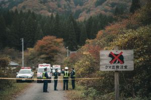 beruang_tewaskan_1_lukai_4_di_jepang_saat_rekor_serangan_mematikan_terus_meningkat