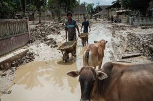 Gempar! Aceh Tamiang “Seret” Lahan Huntara 10 Hektare, Korban Banjir Masih Menunggu Rumah Sementara