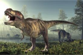 Ternyata T-Rex Tidak Memiliki Bulu