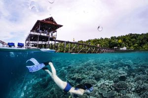 Mengapa Terumbu Karang Menjadi Objek Penelitian yang Menarik bagi Ilmuwan
