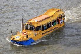 Wisata Bebek London Dilarang Melewati Sungai Thames