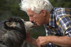 Studi Menunjukkan Pentingnya 'Hormon Cinta' Antara Anjing dan Manusia