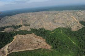 Deforestasi sebagai Faktor Perubahan Iklim
