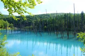 Indahnya Blue Pond, Kolam Terindah di Dunia