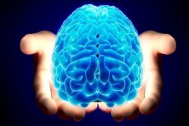 6 Kebiasaan yang Berbahaya untuk Kinerja Otak
