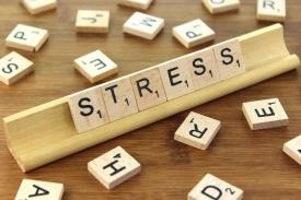 Ini Cara Mengelola Stress yang Kamu Alami