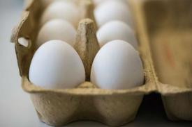 Pejabat Kesehatan Menyerukan Agar KTT di Atas Telur Tercemar; 2 Ditangkap