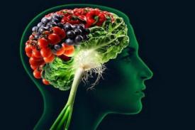 Inilah 5 Jenis Makanan Favorit Otak Untuk Mempertajam Fungsinya