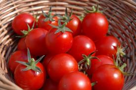 Konsumsi Tomat Secara Rutin bisa Cegah Kanker Kulit