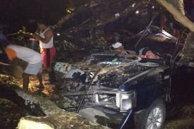 Pohon Tumbang Menimpa Mobil di Blora, Dua Orang Tewas