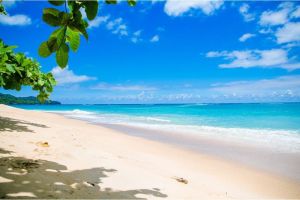 Melindungi Ekosistem Pantai Aktivitas Manusia untuk Pencegahan
