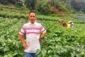 Ulus Pirmawan, Petani Teladan Lembang yang Mendapatkan Penghargaan dari FAO