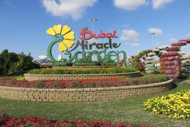 Indahnya Taman Bunga Terbesar Dunia, Dubai Miracle Garden