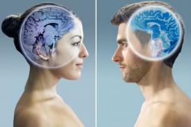 Studi: Otak Wanita Lebih Aktif Dibanding Otak Pria