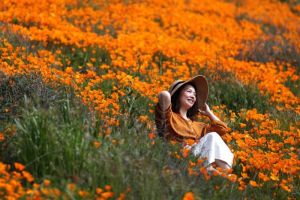 California Siap Menyambut Bunga Liar yang Bermekaran, Cara Wisatawan Mengambil Foto Bunga Liar