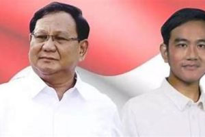 Ahli Tegaskan MK Tidak Bisa Dikualifikasi Prabowo Gibran