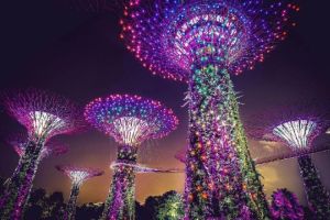 Ada Pengalaman Aurora Borealis yang Menakjubkan di Taman Gardens by the Bay, Singapura