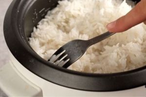 Penyebab dan Solusi Masalah Rice Cooker Gampang Basi
