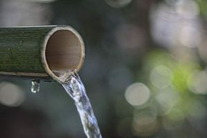 Khasiat Air Bambu untuk Kesehatan Tubuh