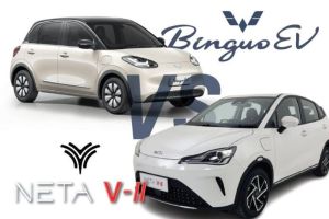 Wuling Binguo EV vs Neta V-II