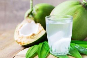 Manfaat Luar Biasa Minum Air Kelapa Muda Tanpa Gula untuk Kesehatan Tubuh Anda