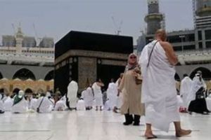 Penyelenggaraan Haji 2024 BPKH Salurkan Rp 11,8 Triliun ke Kemenag