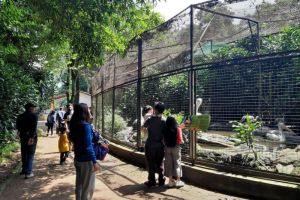 Libur Lebaran, Warga Priok Berkemah di Kebun Binatang