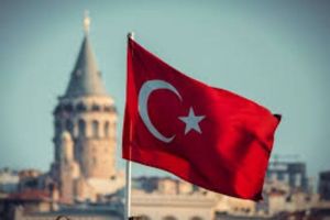 Memastikan Hak Memilih yang Setara bagi Seluruh Warga Negara Turki