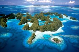 Eksotisme Terumbu Karang Negeri Palau