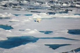 Pemanasan Global, Es Arktik Menyusut Lagi