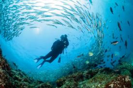 Peneliti Kembangkan Cara Pengukuran Deoksigenasi Laut