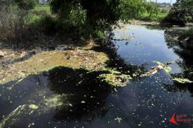 Akibat Limbah Berbahan Kimia, Sungai Citarum Tercemar dan Ancam Kesehatan Warga