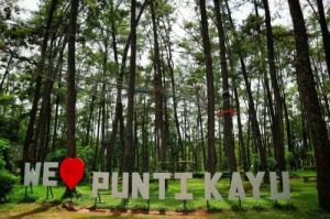 Wisata Hutan Pinus Kota Palembang Indah dan Asri