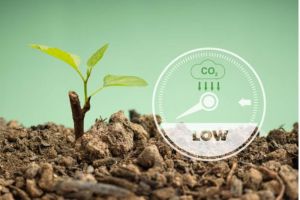 Membangun Kebiasaan Rendah Karbon untuk Kesehatan Lingkungan yang Lebih Baik