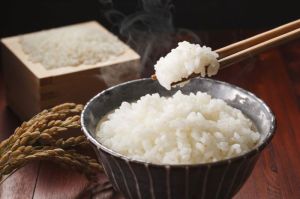 Makanan Pengganti Nasi yang Sehat dan Bergizi