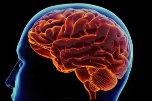 Kebiasaan yang Mempengaruhi Fungsi Otak