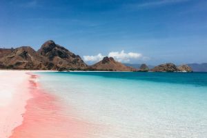 Pantai Pink Lombok, Keindahan Alam yang Menakjubkan di Pulau Seribu Masjid