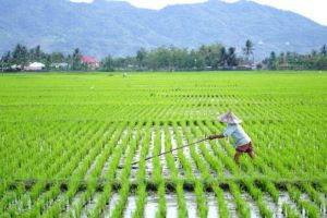 Modernisasi Irigasi di Indonesia: Strategi Kementerian Pertanian Menuju Swasembada Pangan