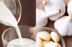 Manfaat Susu Bawang Putih untuk Kesehatan Tubuh