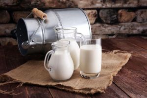 Manfaat Susu Sapi untuk Kesehatan Tubuh