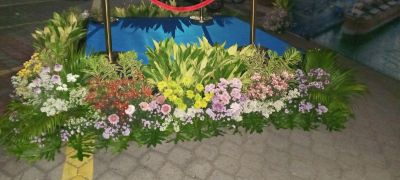 Zen polerkid florist n garden