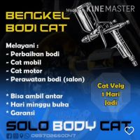 Solo Body Cat