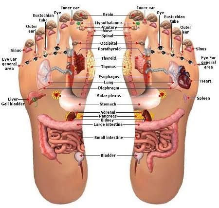 MASSAGE PIJAT URUT  DAN TERAPI